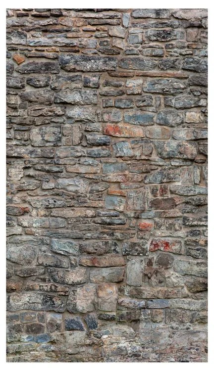 Fotomurale Muro sasso, grigio