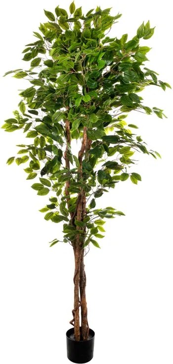 Pianta artificiale Ficus in vaso di plastica H 210 cm ø 15 cm