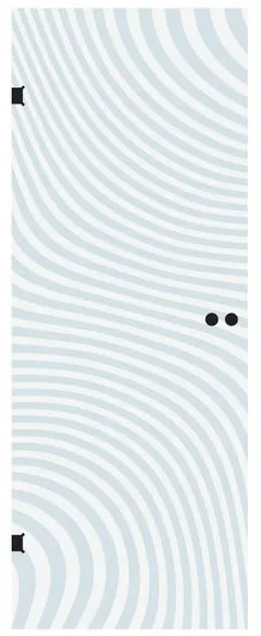 Anta in cristallo a battente ZebraL 80X H 210 cm, trasparente