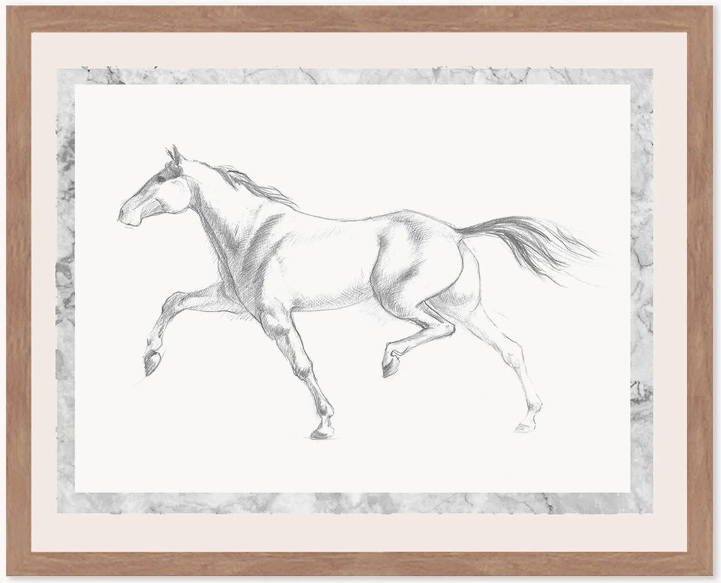 Stampa digitale incorniciata Single Horse, varie misure
