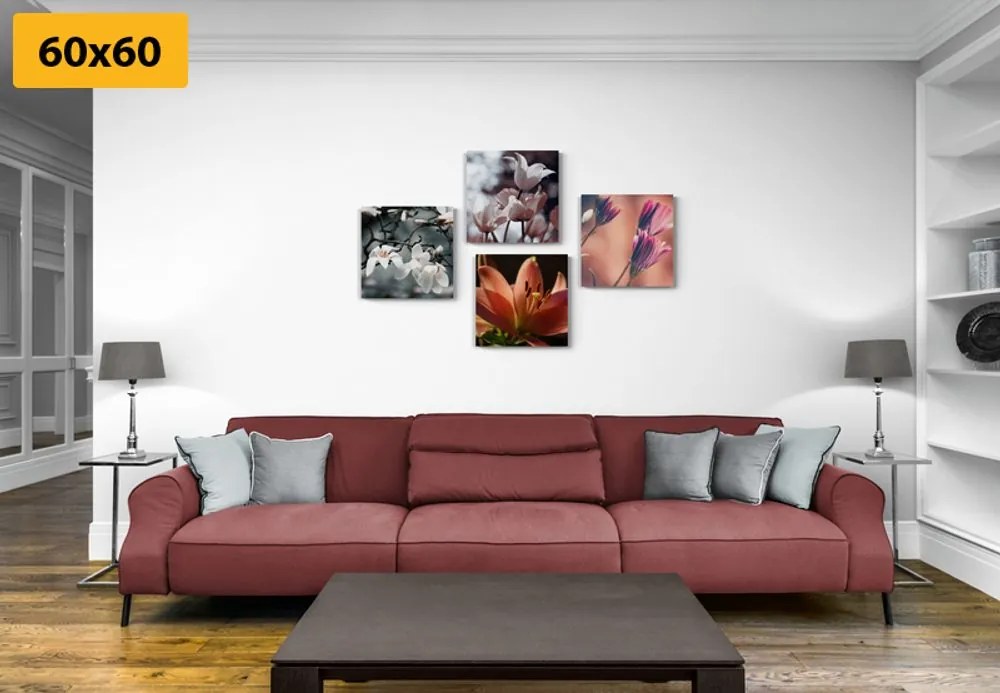 Set di quadri – Delicatezza dei fiori