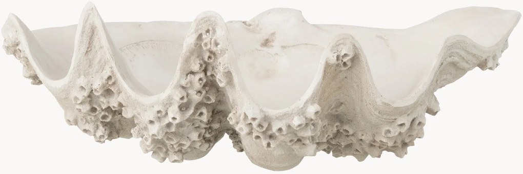 Ciotola decorativa Seashell Seashell