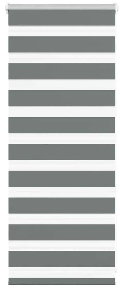 Tenda A Rullo Zebra Larghezza Tessuto 55,9 Cm Poliestere /
