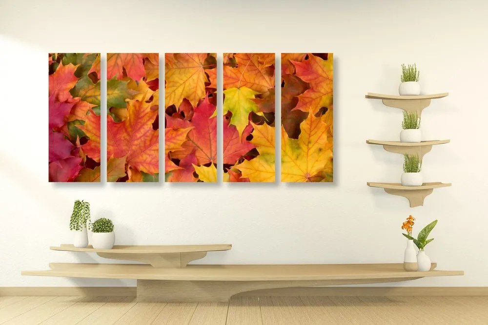 Quadri 5 pezzi – Foglie d'autunno