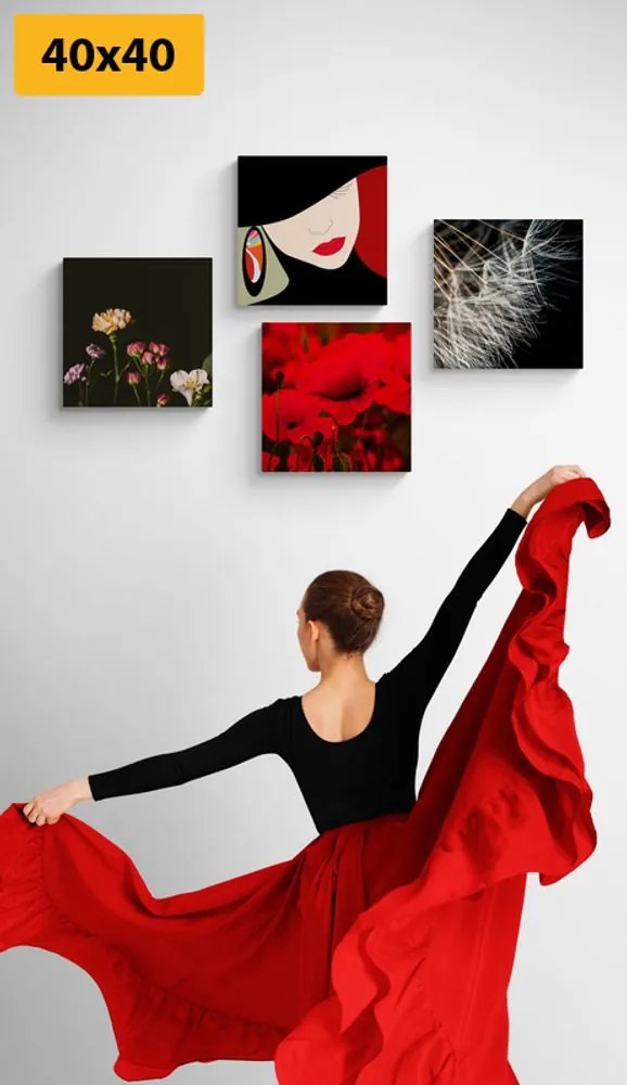 Set di quadri – Donna elegante in stile interessante