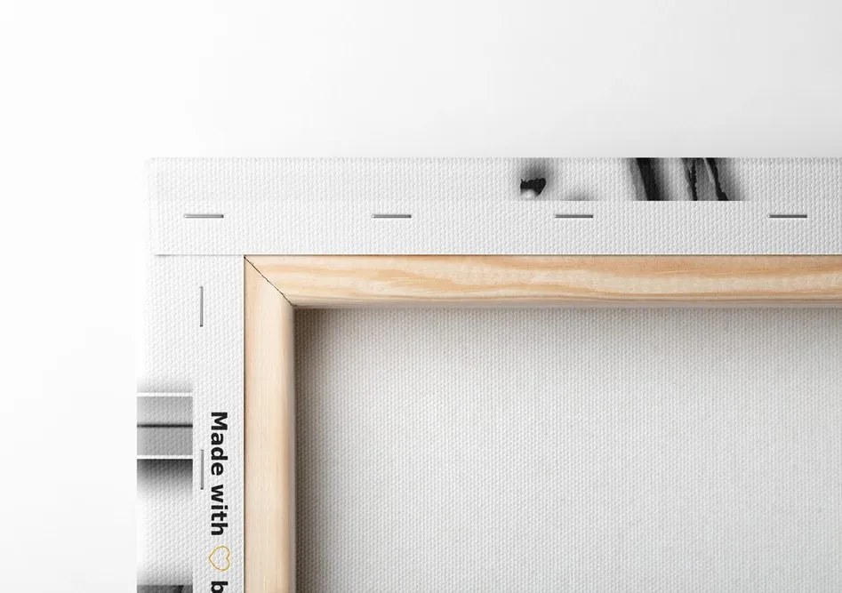 Quadro su tela – Astrazione di lusso in bianco e nero