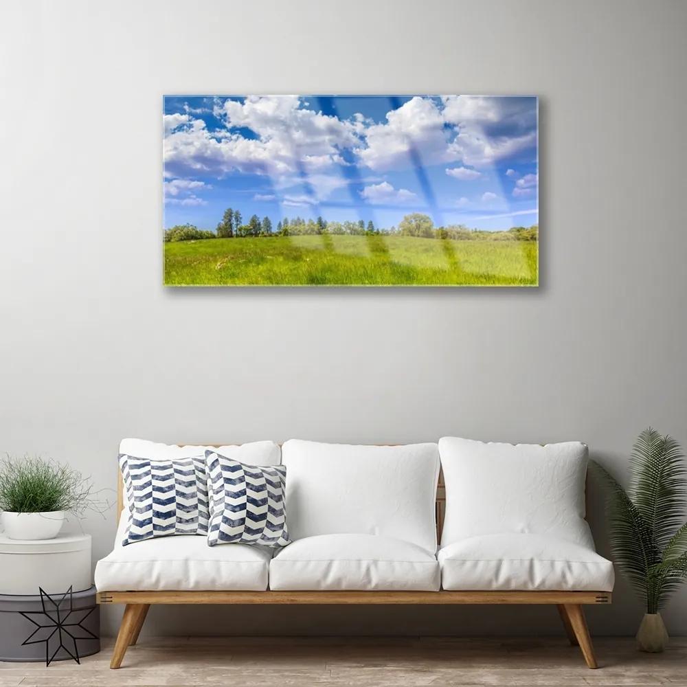 Quadro vetro acrilico Paesaggio del cielo dell'erba del prato 100x50 cm
