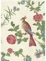 Little Greene Tapete Darwin - Provence