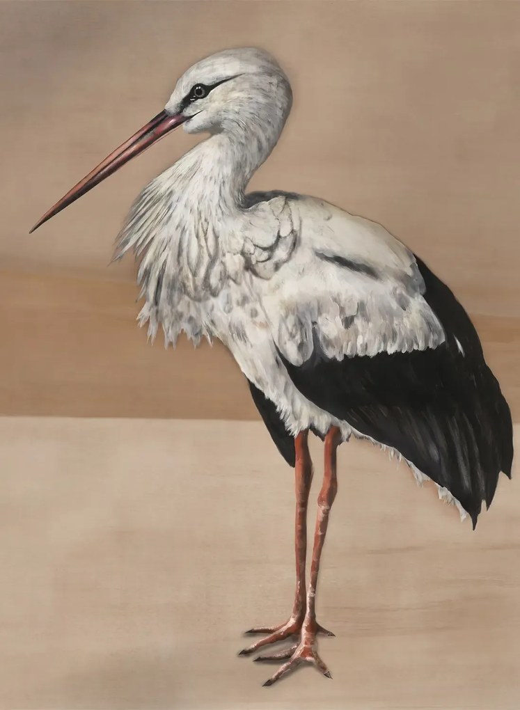 Coordonne Carta da parati panoramica Stork Mother - Nude
