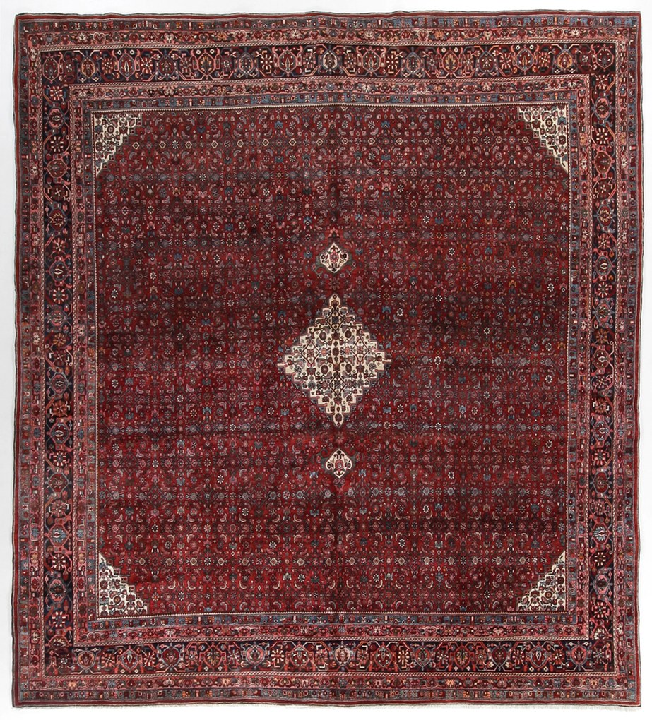 Bidjar Tappeto persiano 340 x 360 (Iran) Annodato A Mano