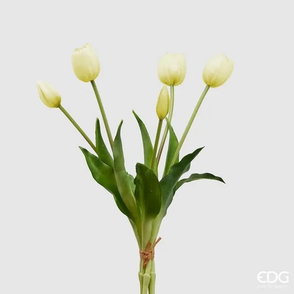 EDG - EDG Enzo De Gasperi Bouquet Di Tulipani bianchi