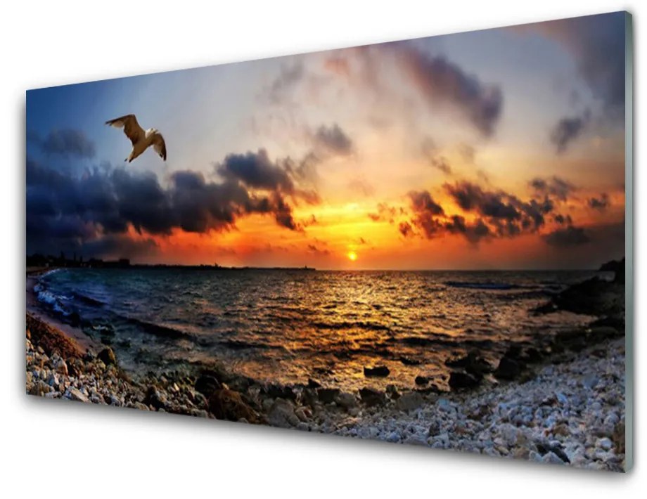 Quadro in vetro Gabbiano mare spiaggia paesaggio 100x50 cm 2 appendini