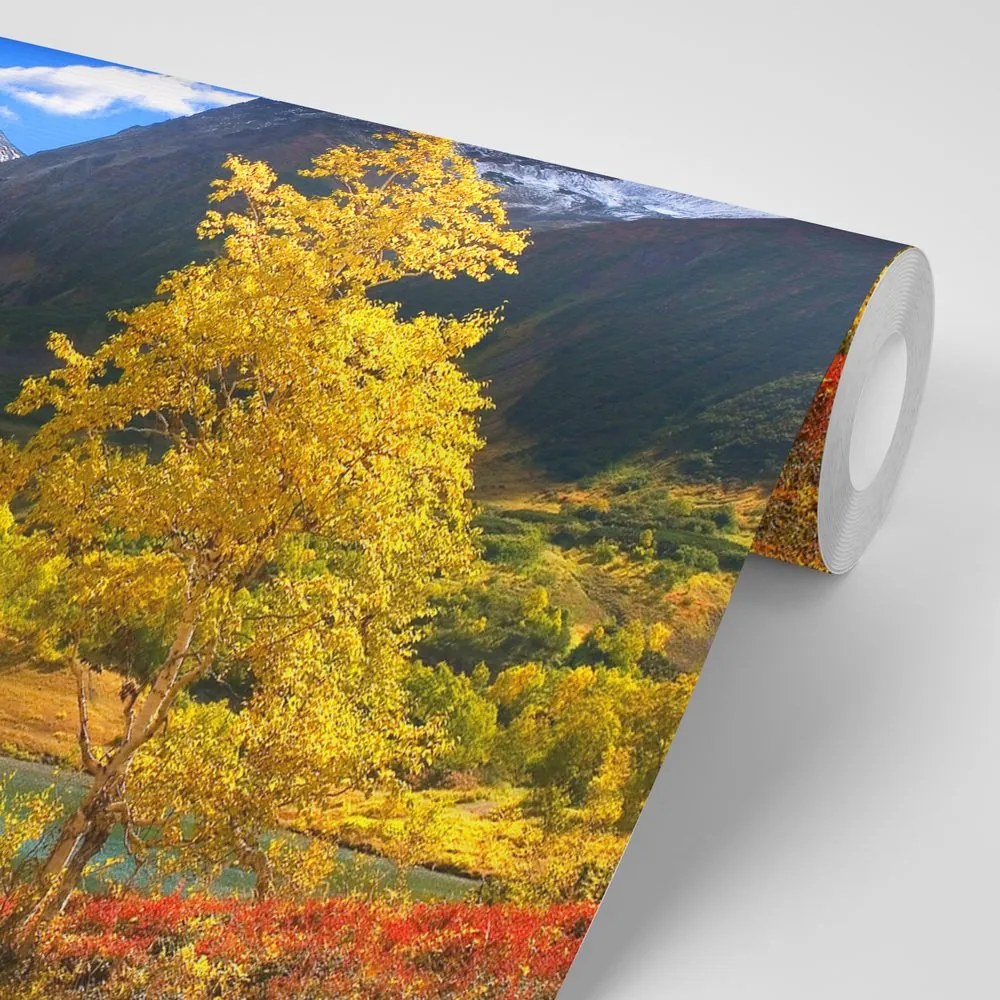 Carta da parati – Natura meravigliosa in Kamchatka