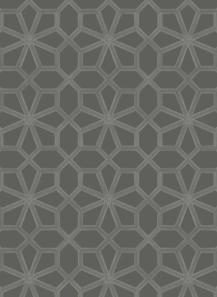 Cole & Son Carta da parati Wolsey Stars - 118/16037