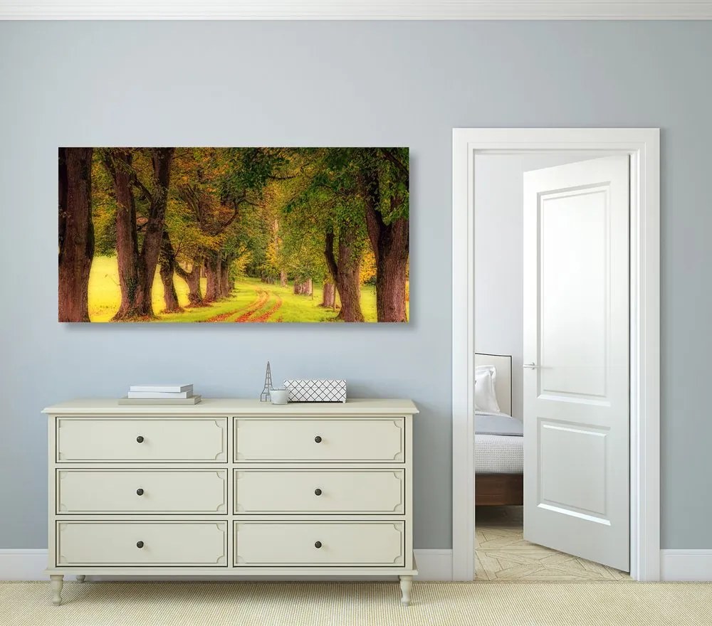 Quadro su tela – Sentiero nella foresta autunnale