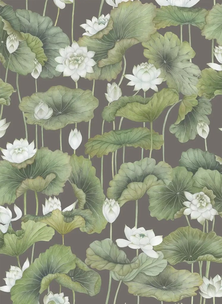 Cole & Son Carta da parati Lily Lotus - White on Charcoal