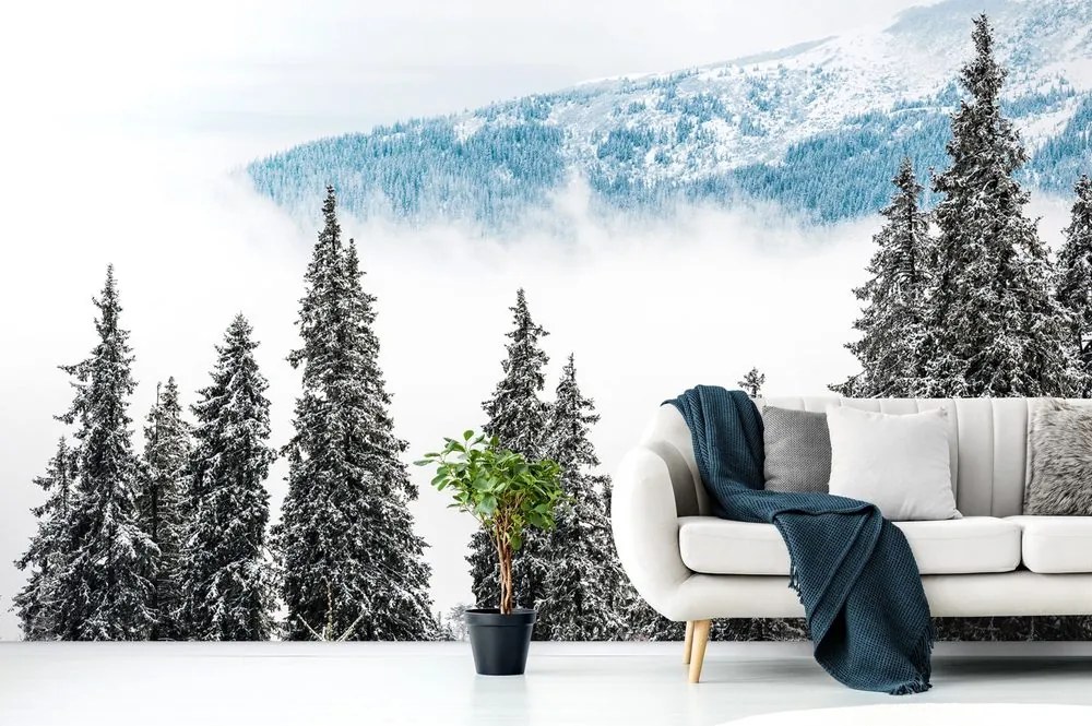 Fotomurale – Alberi di pino innevati