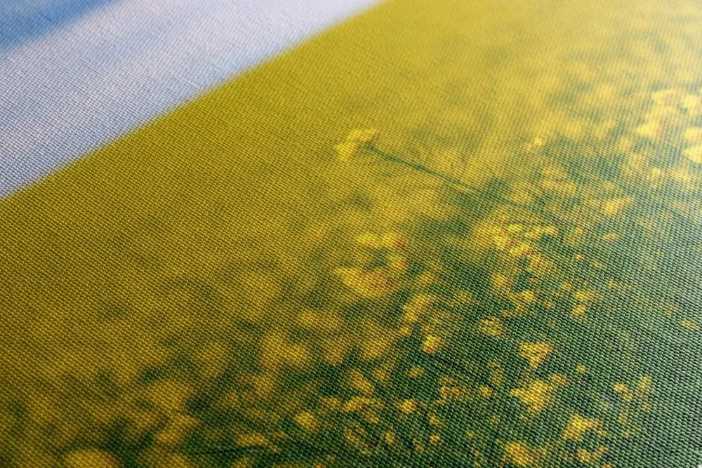 Stampa su tela – Campo giallo