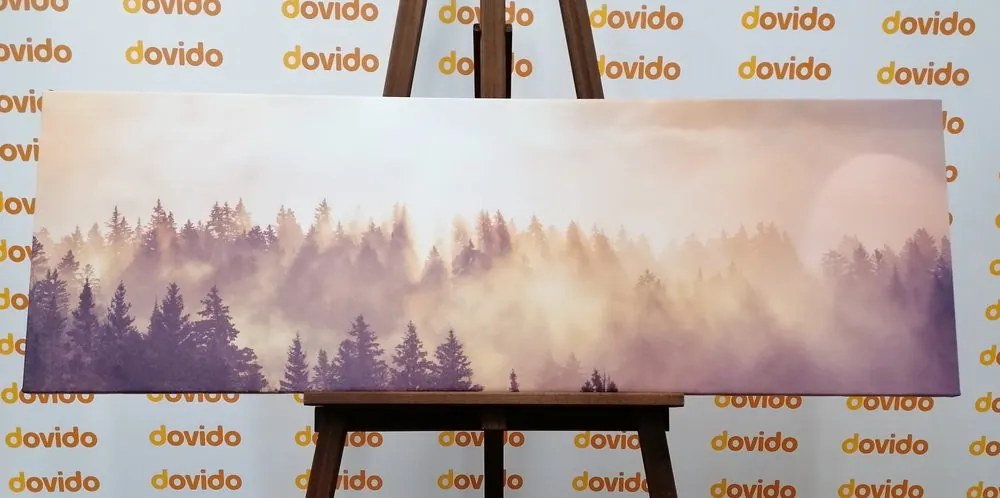 Stampa su tela – Nebbia sopra la foresta