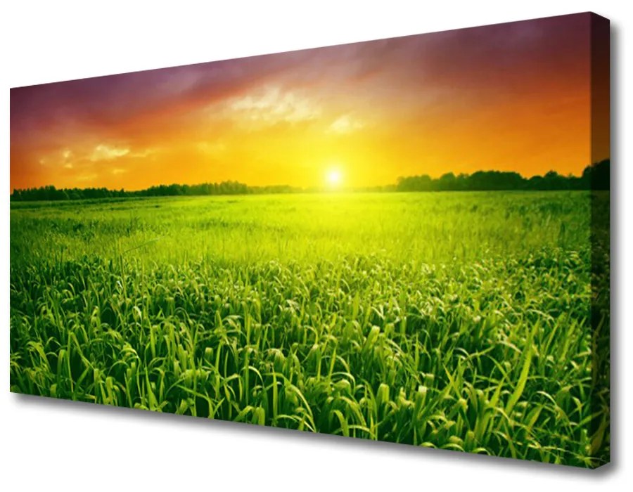 Quadro su tela Alba del campo di cereali 100x50 cm