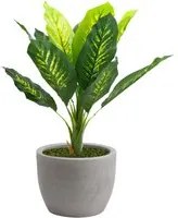 Pianta Artificiale Dieffenbachia 90 cm Con Vaso Nicoli Hera 40 Incluso - colore: Matt Cenere - P03-V03-S