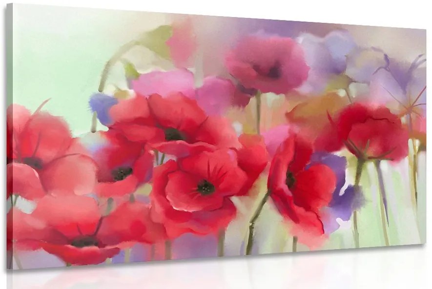 Quadro su tela – Splendidi papaveri disegnati