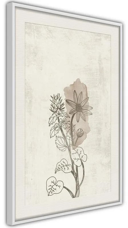 Poster  Life of Plants  Cornice Quadri Cornice nera con pass-partout, Larghezza x Altezza Home decor 30x45