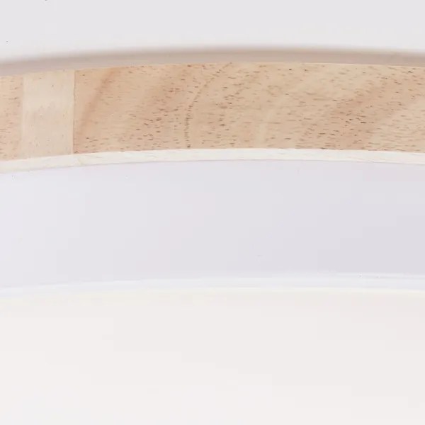 Brilliant - Plafoniera LED dimmerabile BAARLO LED/36W/230V diametro 50 cm bianco + +TC