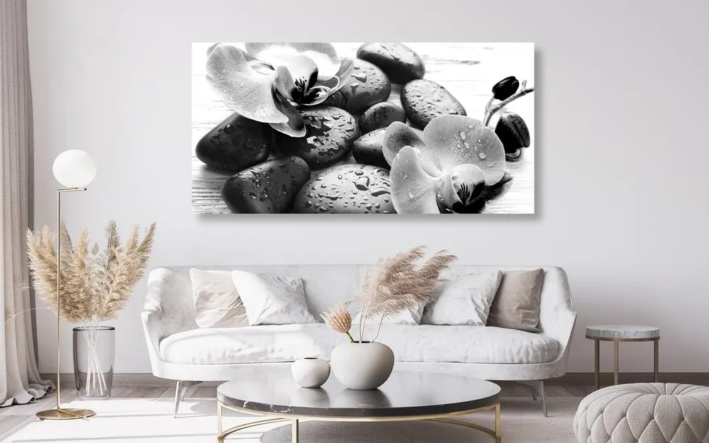 Stampa su tela – Magica armonia di pietre e orchidee in bianco e nero