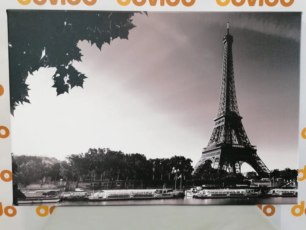 Quadro su tela – Parigi in autunno in bianco e nero