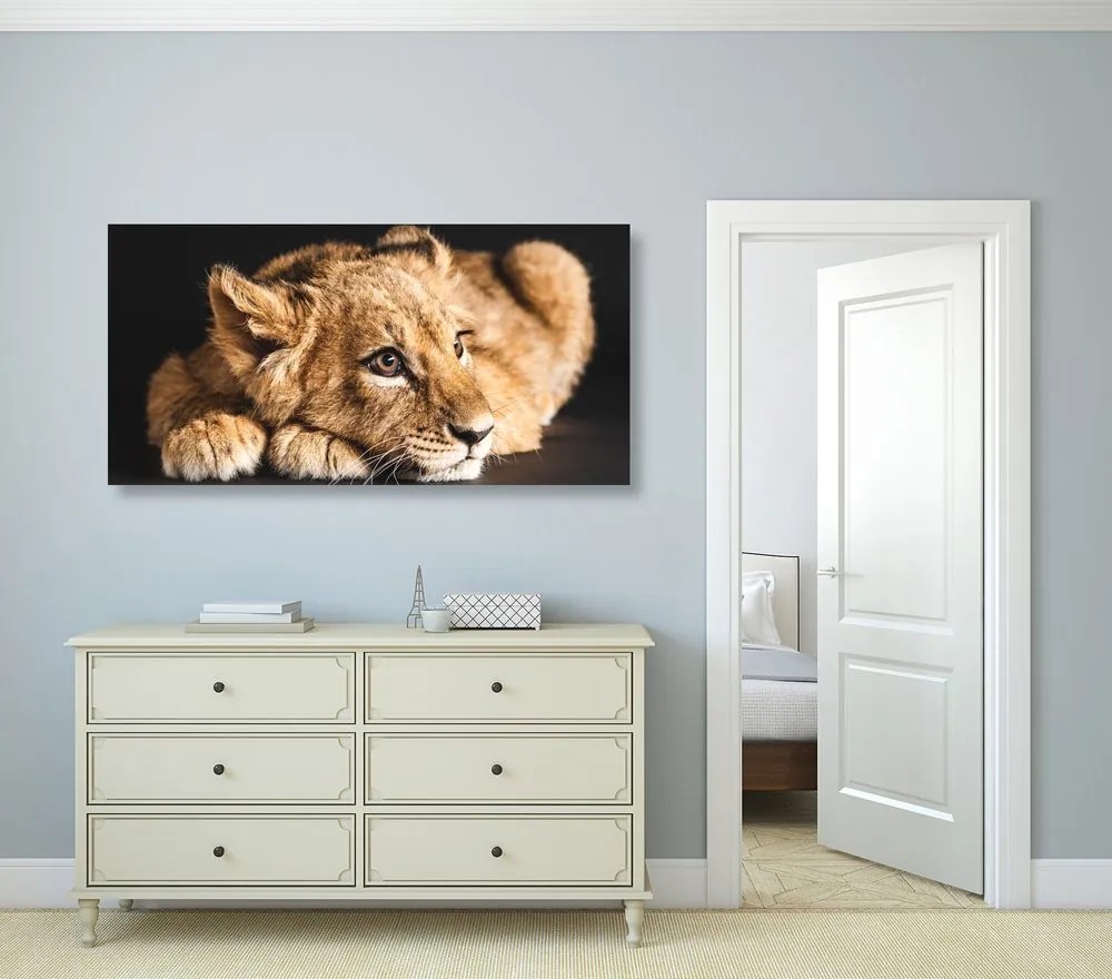 Quadro su tela – Cucciolo di leone
