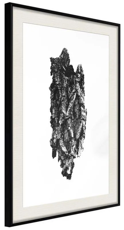 Poster  Texture of a Tree  Cornice Quadri Cornice nera con pass-partout, Larghezza x Altezza Home decor 20x30