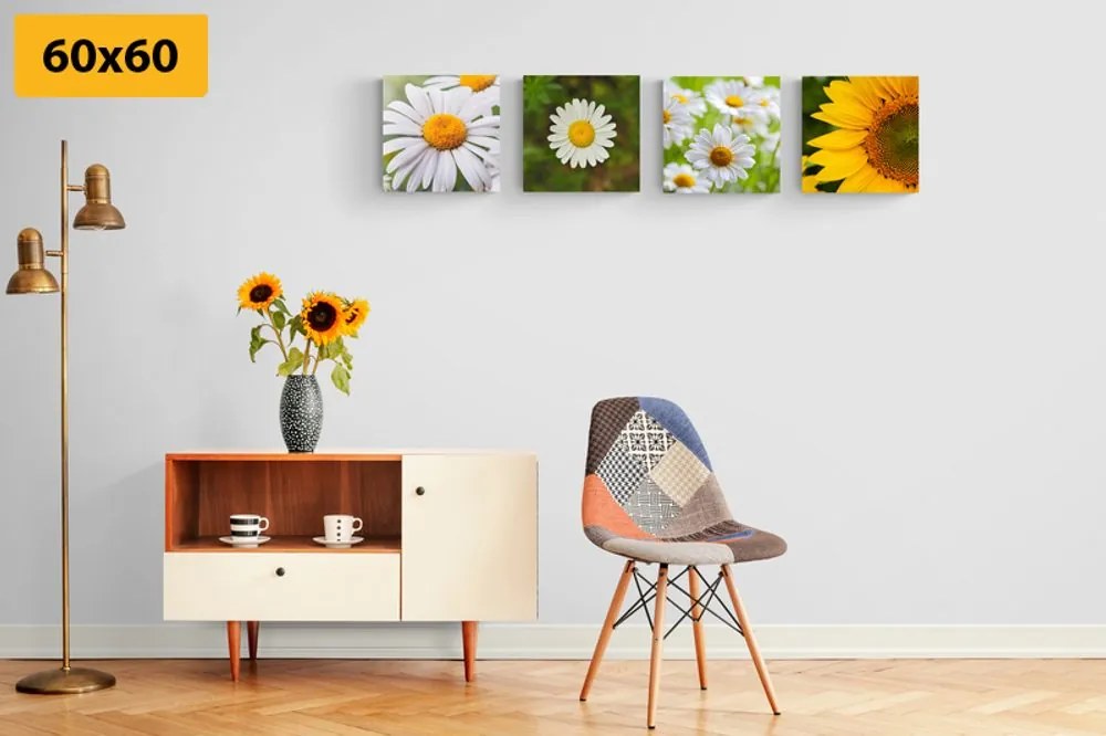 Set di quadri – Fiori di campo