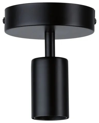 Paulmann 79760 - Plafoniera HALDOR 1xE27/20W/230V