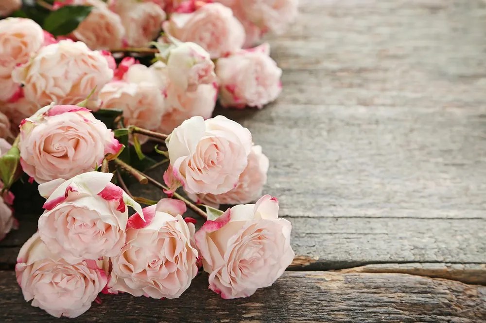 Carta da parati – Rose romantiche