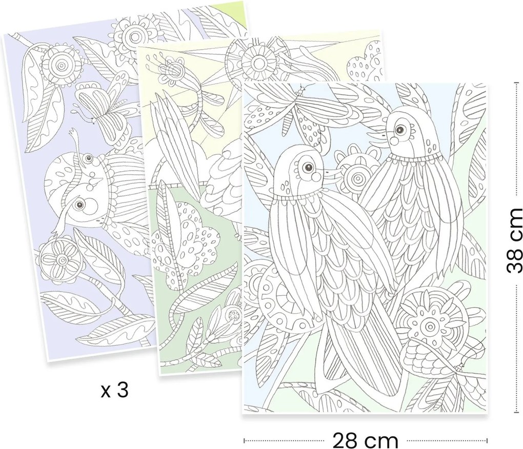 Disegni da colorare - Uccelli