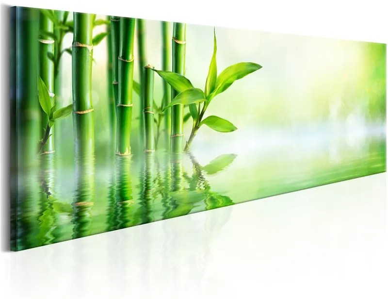 Quadro Green Bamboo  Colore Verde, Dimensioni e Misure 120x40