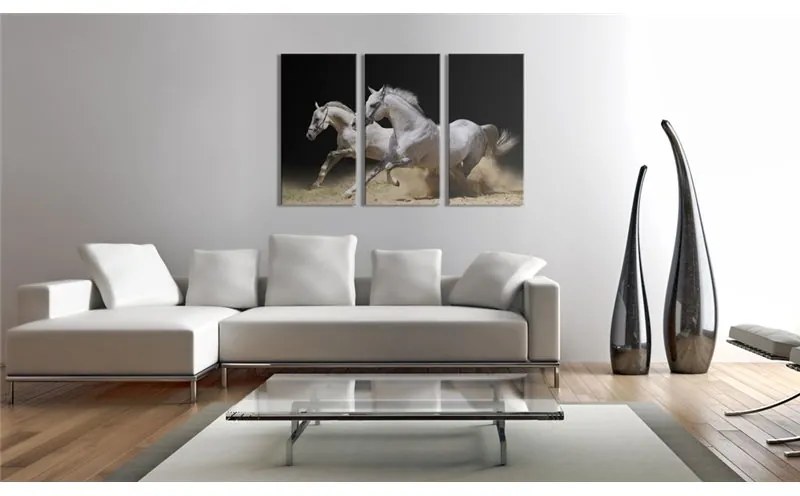 Quadro Cavalli  potenza e velocita'  Colore Nero, Dimensioni e Misure 120x80