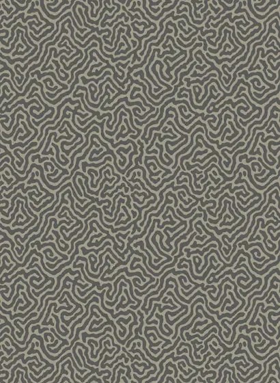 Cole & Son Carta da parati Vermicelli - Black/ Linen