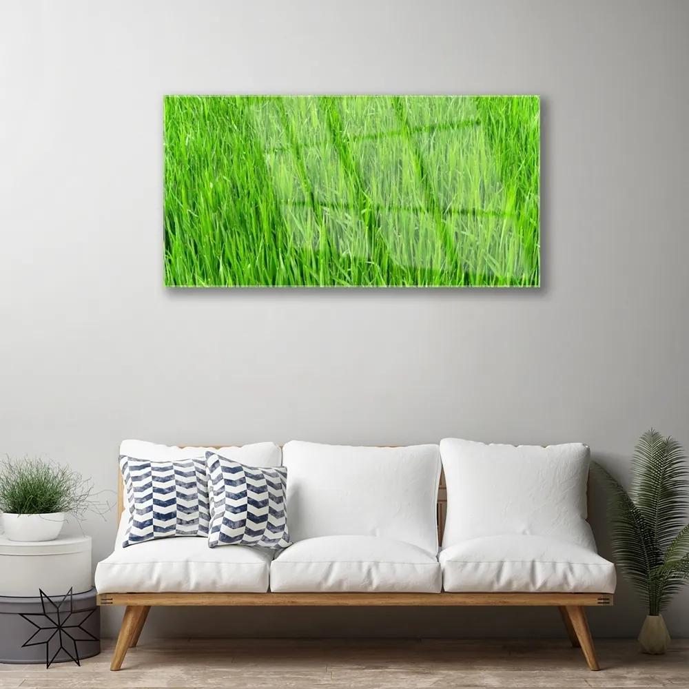Quadro acrilico Tappeto erboso dell'erba verde della natura 100x50 cm