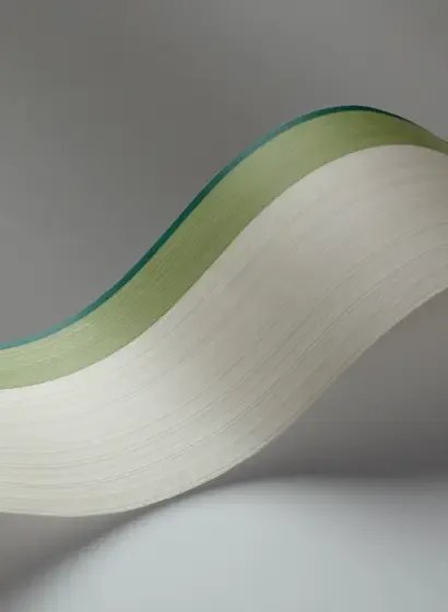 Bordüre Jaspe Border von Cole & Son - White/ Green & Emerald