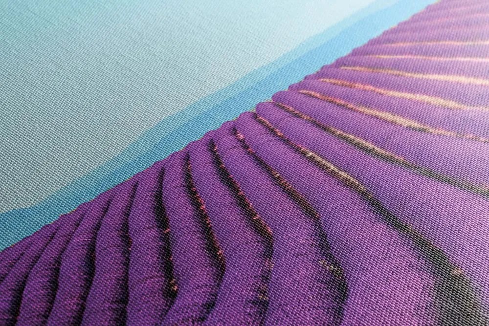Stampa su tela – Campo di lavanda infinito