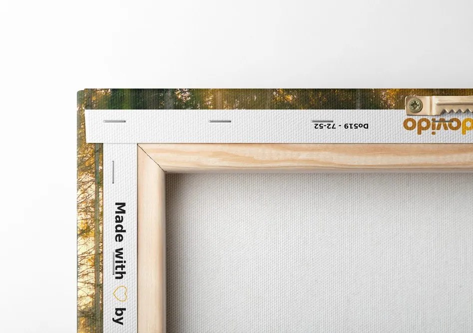 Stampa su tela – Sole dietro l'albero