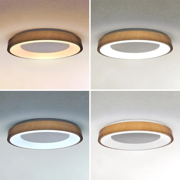 Brilagi - Plafoniera LED dimmerabile DORIA LED/60W/230V 3000-6500K diam. 60 cm + telecomando