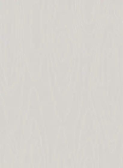Cole & Son Carta da parati Watered Silk - Grey