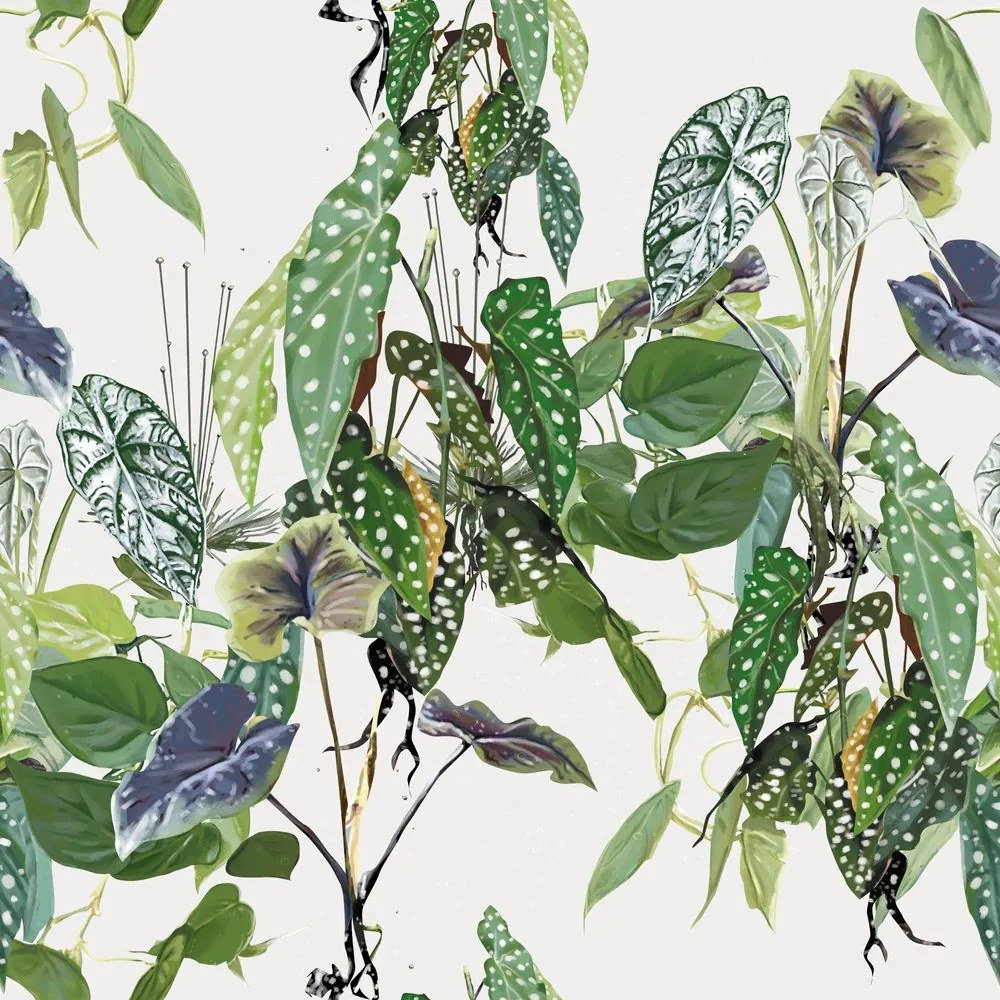 Carta da parati – Foglie tropicali abbondanti