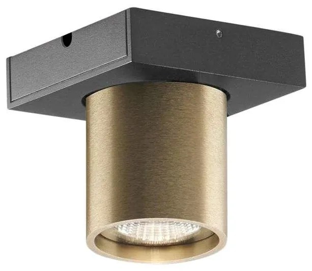 Light Point - Focus Mini 1 LED Plafoniera 2700K Brass LIGHT-POINT