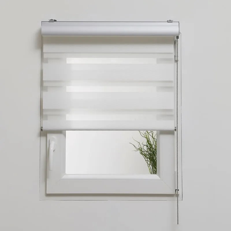Tenda a rullo giorno / notte Box bianco 60x250 cm