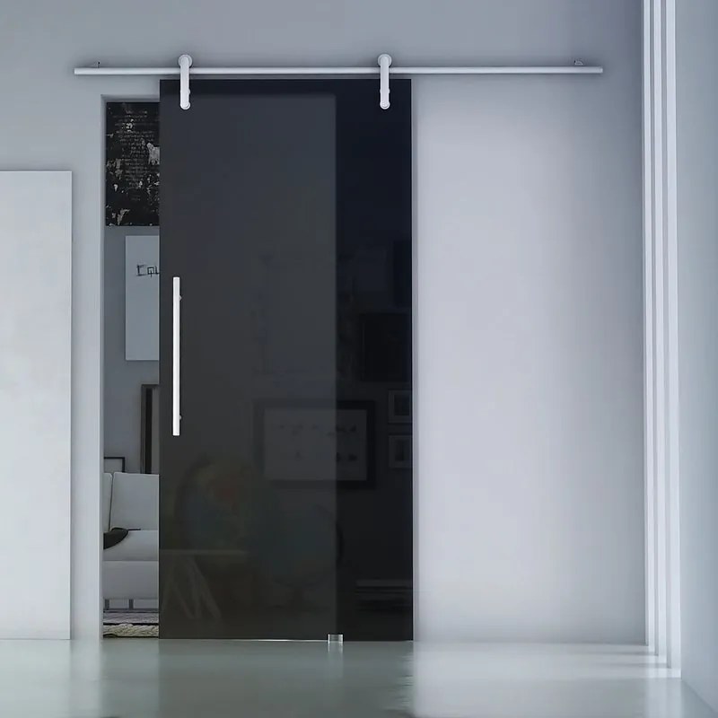 Porta scorrevole reversibile Fumè Traparente in alluminio nero, L 96 x H 215 cm, con binario Ermes