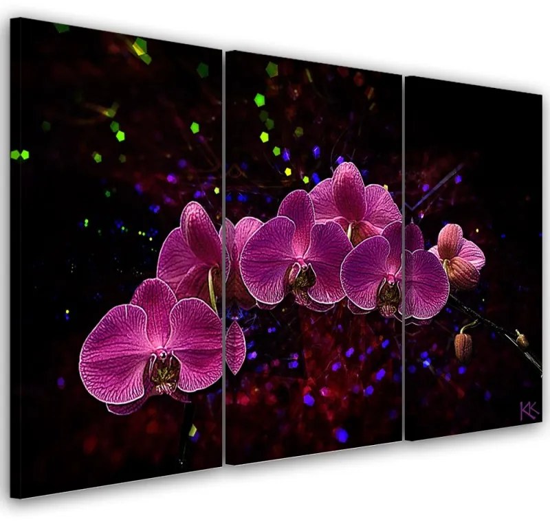 Quadro su tela 3  pannelli, Orchidea su uno sfondo scuro  Dimensioni Tappeti 120x80